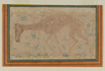 An Emaciated Horse by Indian School
