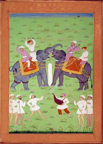 Battle of Two Elephants at the Court of Shah Alem. Indian and Persian miniatures in History of India from Tamertante to Orangreyb by Niccolo Manucci by Indian School