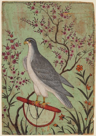 Falcon on a Perch, c.1610 by Indian School