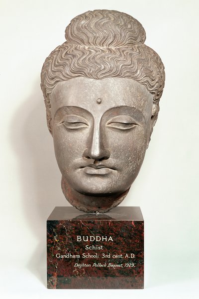 Head from a statue of the Buddha, from Gandhara, north-west India by Indian School