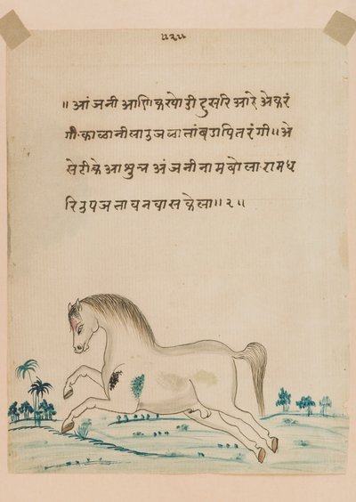 Horse by Indian School