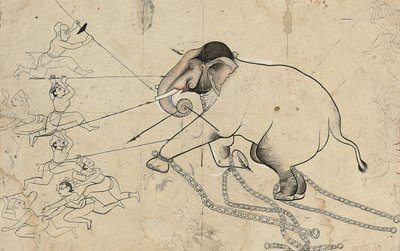 Isarda or Kotah Preparatory Drawing of the Taming of an Elephant by Indian School