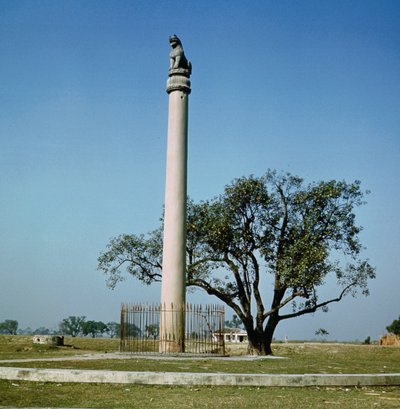 Lion Pillar of Emperor Ashoka by Indian School