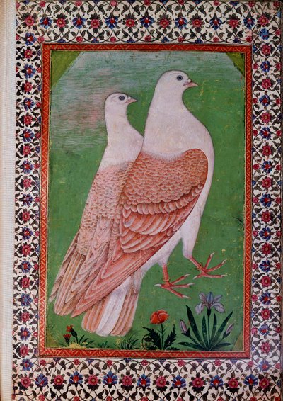 Two pigeons by Indian School