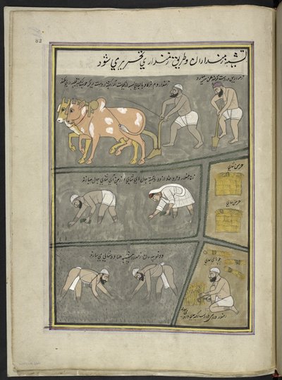 Ploughing; digging; transplanting paddy; harvesting by Indian School