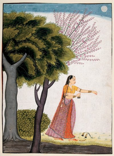 Vipralabdha Nayika by Indian School