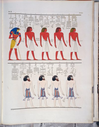 The Different Species of Men Known to the Egyptians, Depicted in the Tomb of Menphtah I, Illustration from 