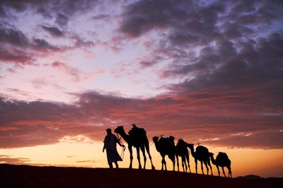 A Cameleer Leads His Camels at Erg Chebbi in the Desert in Merzouga, Morocco, 2019 by Ira Block