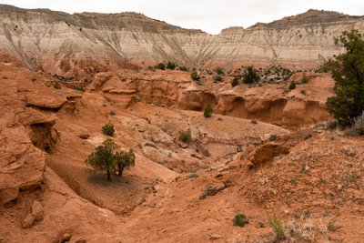 A landscape at Kodachrome Basin State Park, Utah, 2019 by Ira Block
