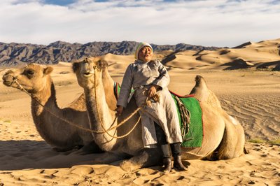 A woman taking a rest with camels in the South Gobi Desert, Mongolia by Ira Block