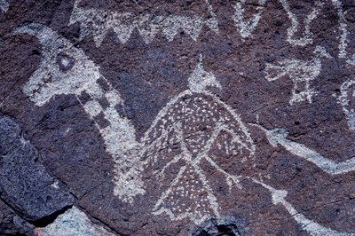 Anasazi Petroglyph (rock art) carvings in New Mexico. by Ira Block