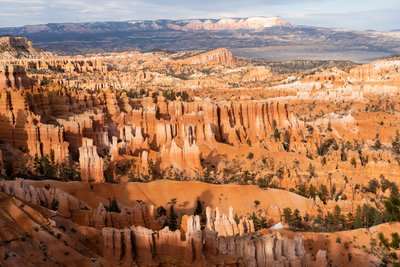 Hoodoos - spires created by erosion - at Bryce Canyon National Park in Utah, 2019 by Ira Block