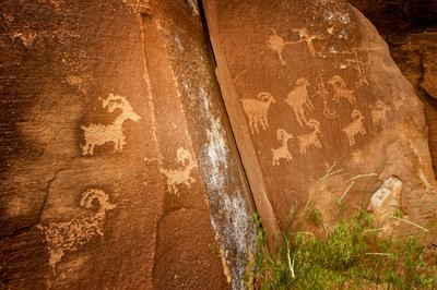 In Nine Mile Canyon, panels of sheep near the Sandhill Crane petroglyph site, 2005 by Ira Block