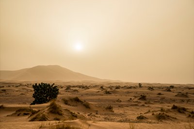 Sand dunes in the Erg Chebbi desert of southeastern Morocco by Ira Block
