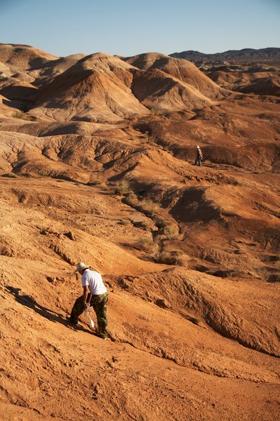 Scenes around Wu Cai Wan in the Gobi desert, Xinjiang, Western China., 2007 by Ira Block