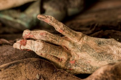 The body of the mummy revealed showing well-preserved skin and tattoos by Ira Block