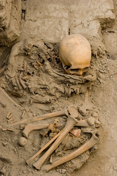 The sacrificial female in the burial with the mummy bundle at Huaca El Brujo by Ira Block