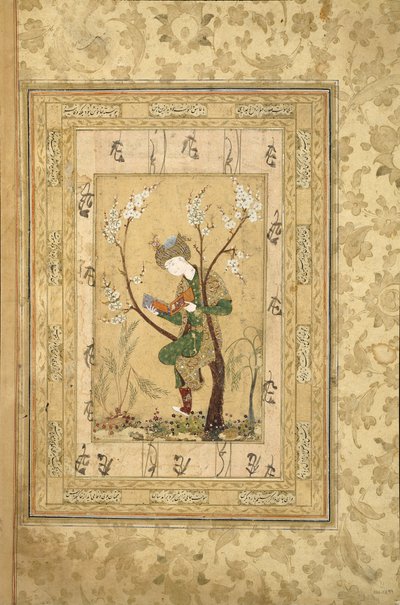 Youth Seated in the Fork of a Blossoming Tree, 1560s by Iranian Master