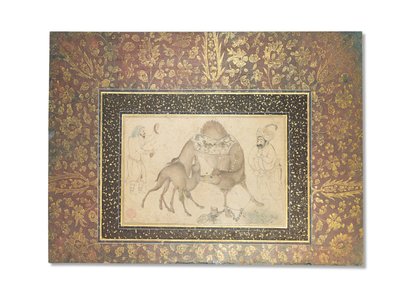 A Camel and Her Calf, Safavid Iran, 1650-1700 by Iranian School