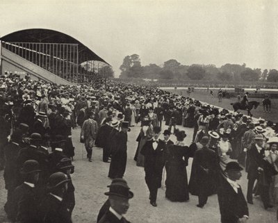 Horse Show, Ball