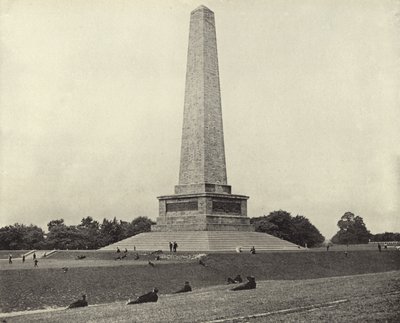 The Wellington Testimonial, Phoenix Park by Irish Photographer