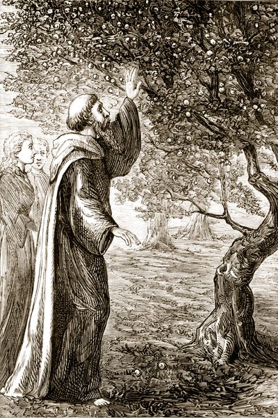 St. Columba Changes Bitter Fruit into Sweet, from The Trias Thaumaturga, or Three Wonder-Working Saints of Ireland, by Mary Cusack (1829-99) Published c.1890s by Irish School