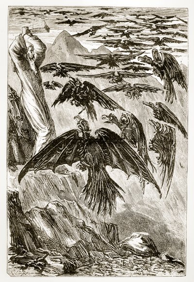 St. Patrick and the Demon Birds, from The Trias Thaumaturga, or Three Wonder-Working Saints of Ireland, by Mary Cusack (1829-99) Published c.1890s by Irish School
