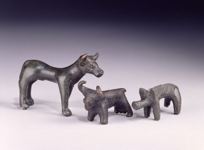 Two bulls, from Hungary and a boar, from Gower Cave, Rhossilly, South Wales, Iron Age by Iron Age