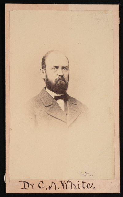 Portrait of Charles Abiathar White 1826-1910, 1868 by Isaac Augustus Wetherby