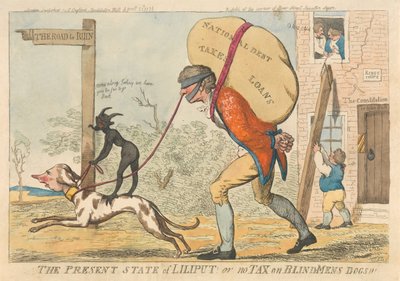 The Present State of Lilliput or No Tax on Blind Men