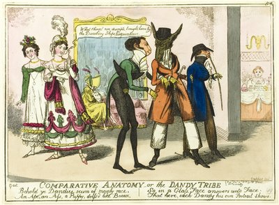 Comparative Anatomy by Isaac Robert Cruikshank