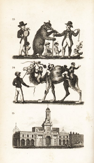 Dancing Bear and Dog, Camel and Monkey and the Royal Exchange by Isaac Taylor