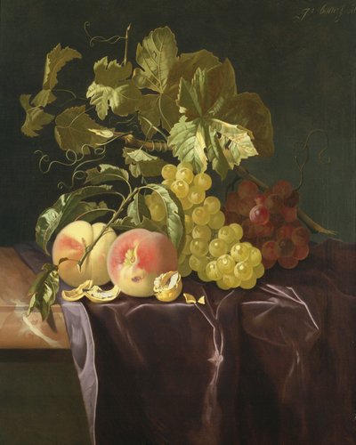 Still Life of Fruit, Nuts and Leaves on Velvet Cloth by Isaak Denies