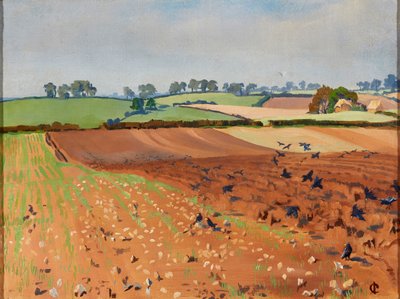 Ploughed Field by Isabel Codrington