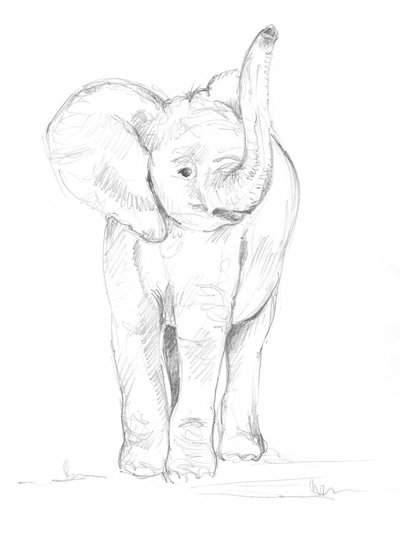 Baby Elephant 02 by Isabelle Brent