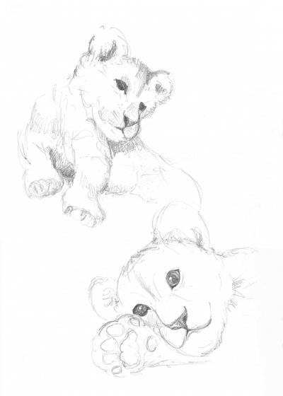 Lion Cubs by Isabelle Brent