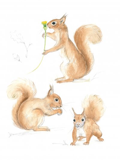 Playful Squirrels by Isabelle Brent