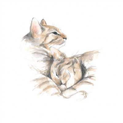 Relaxed Cats by Isabelle Brent