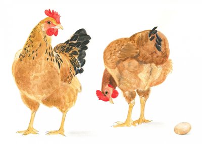 The Egg and Two Hens by Isabelle Brent
