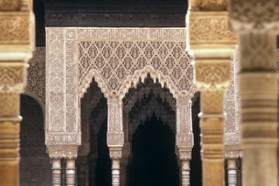 Detail of arches in the Court of Lions by Islamic School