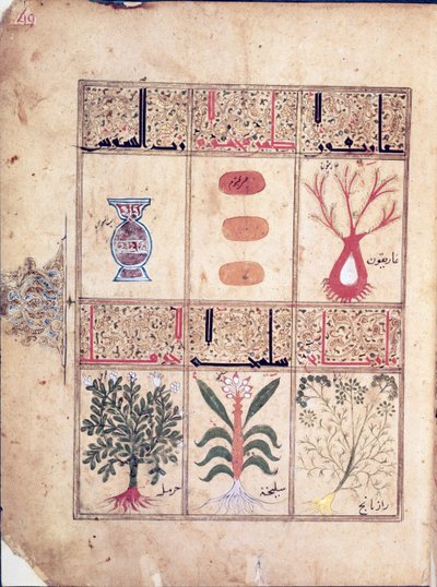 Plants from the Treatise of Theriac after Galen, 1217 by Islamic School