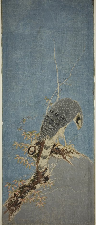 Falcon Perched on a Tree by Isoda Koryusai