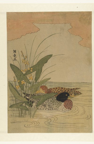 Two Ducks Swimming by Yellow Blooming Arrowhead by Isoda Koryusai