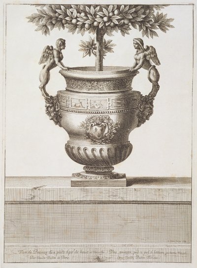 Bronze urns as used for citrus trees, illustration from 