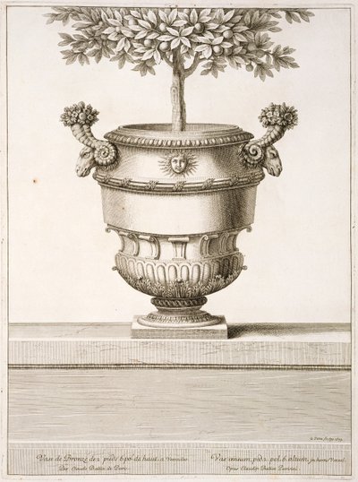 Bronze urns as used for citrus trees, illustration from 