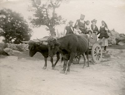 Family on Ox-Drawn Cart, Sardinia, Italy, ca 1910 by Italian Photographer