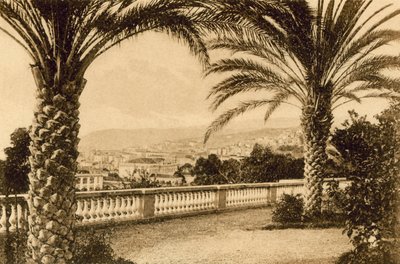 San Remo, Among the Palms by Italian Photographer