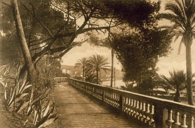 San Remo, Giardini by Italian Photographer