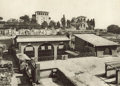 The Palatine, House of Livia by Italian Photographer
