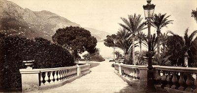 The Garden of the Casino of Montecarlo, in the Principality of Monaco by Italian Photographer